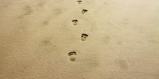 Footprints in the Sand