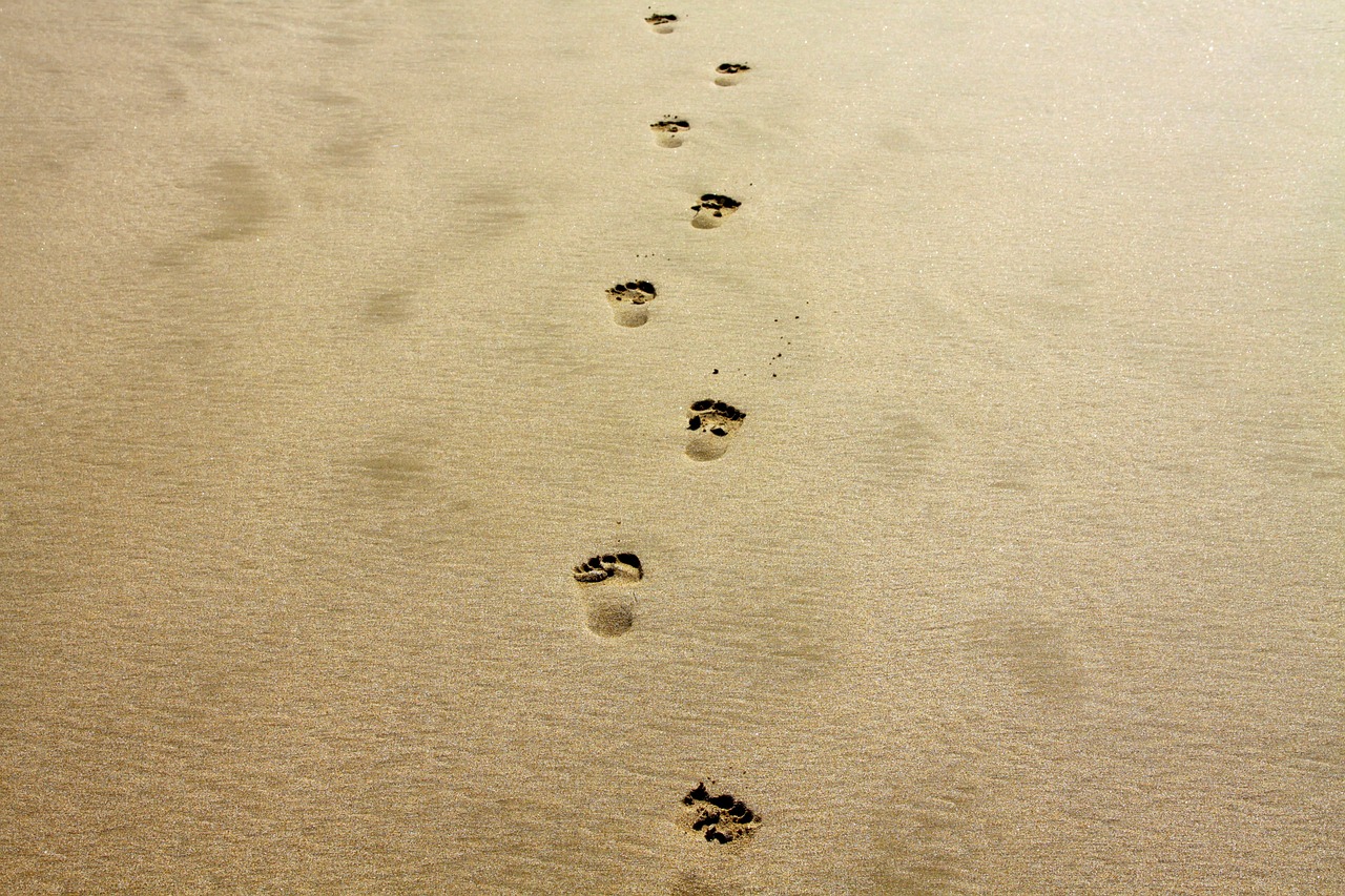 Footprints in the Sand | Dandenong Gospel Hall